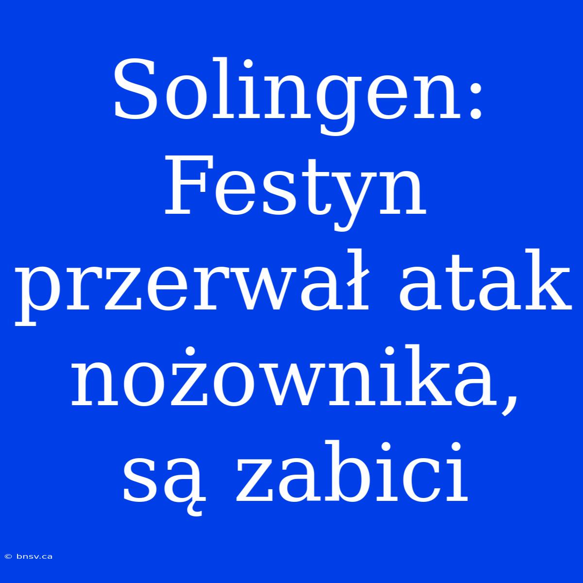 Solingen: Festyn Przerwał Atak Nożownika, Są Zabici