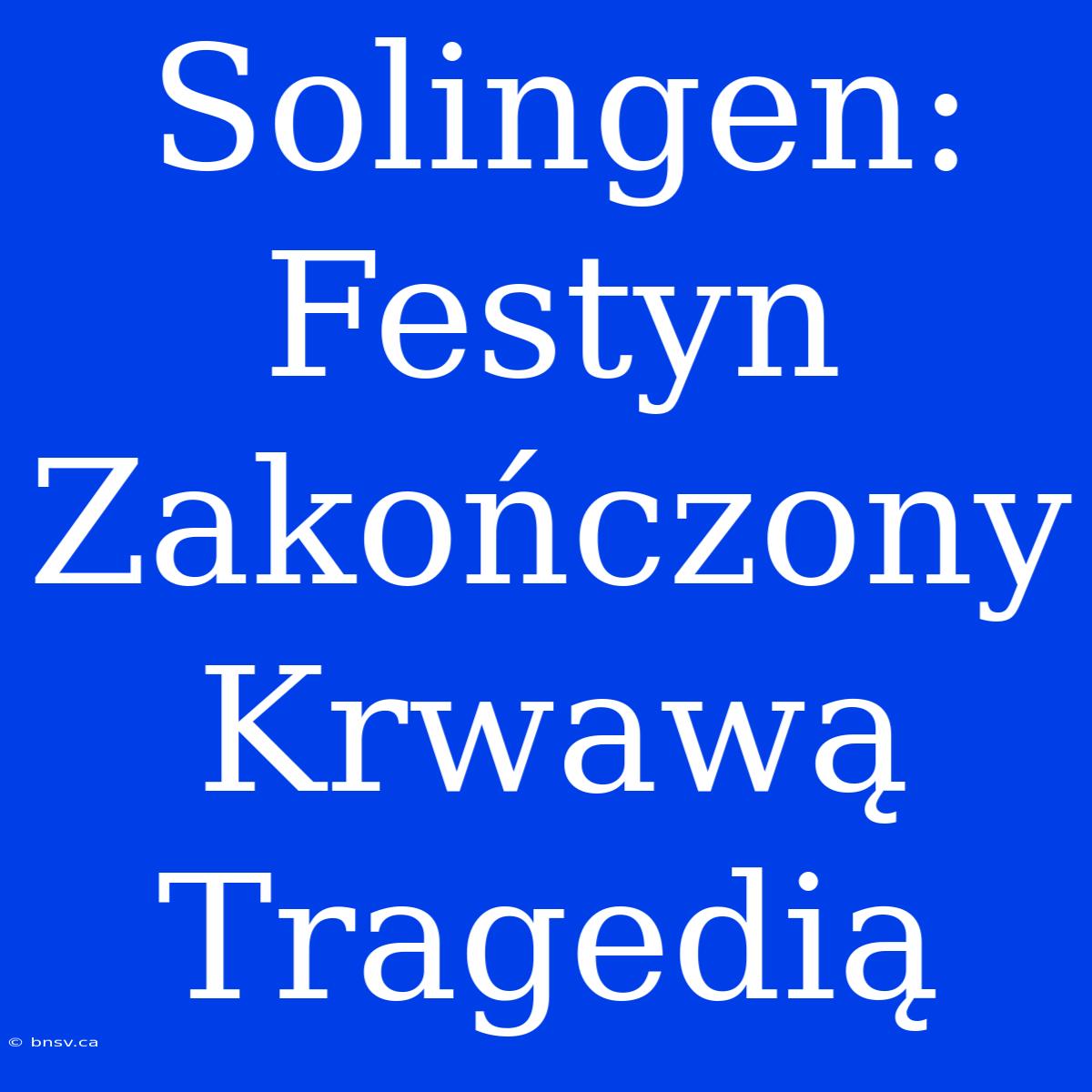 Solingen: Festyn Zakończony Krwawą Tragedią