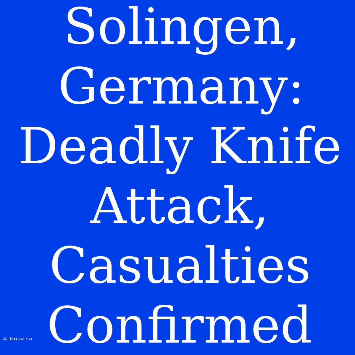 Solingen, Germany: Deadly Knife Attack, Casualties Confirmed