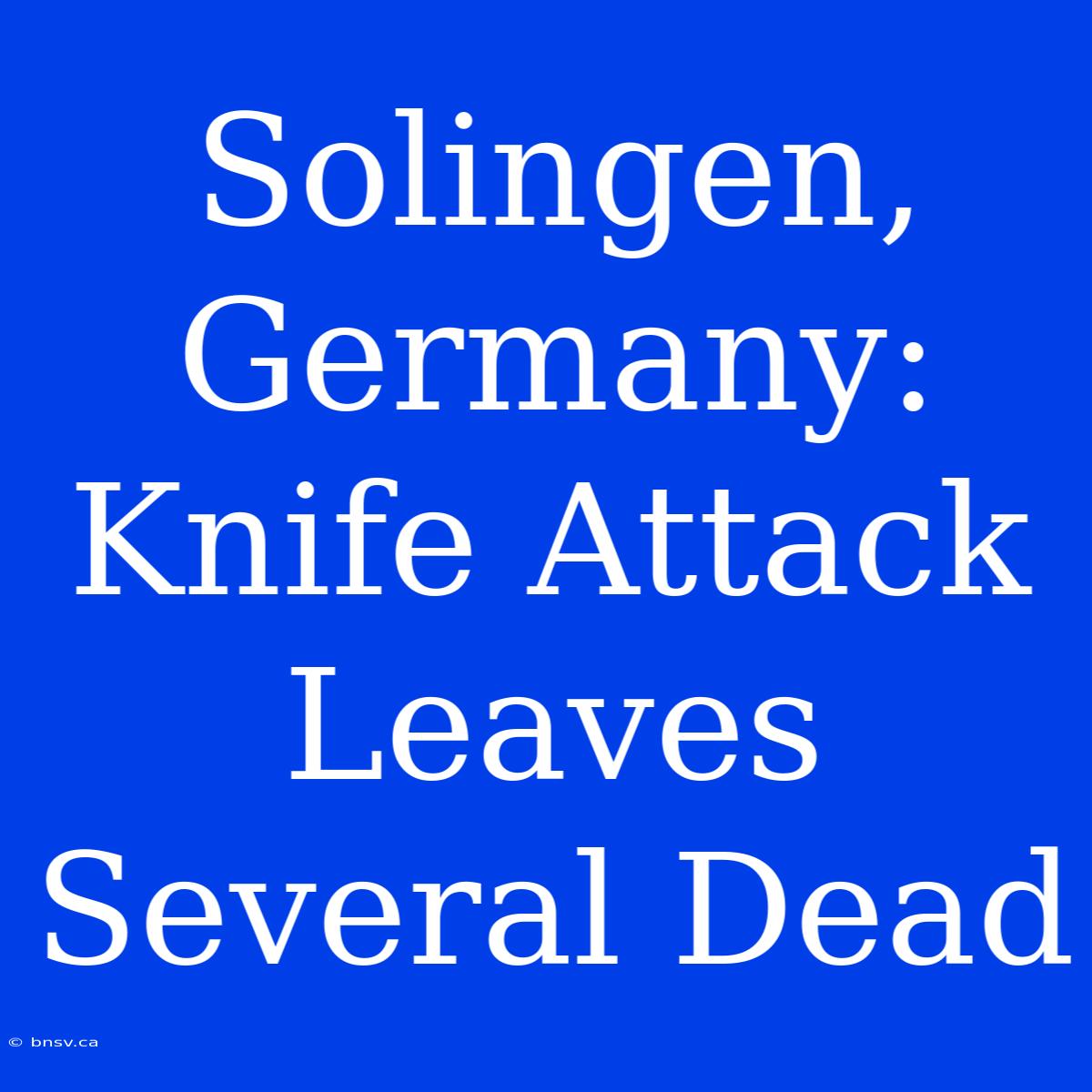 Solingen, Germany: Knife Attack Leaves Several Dead