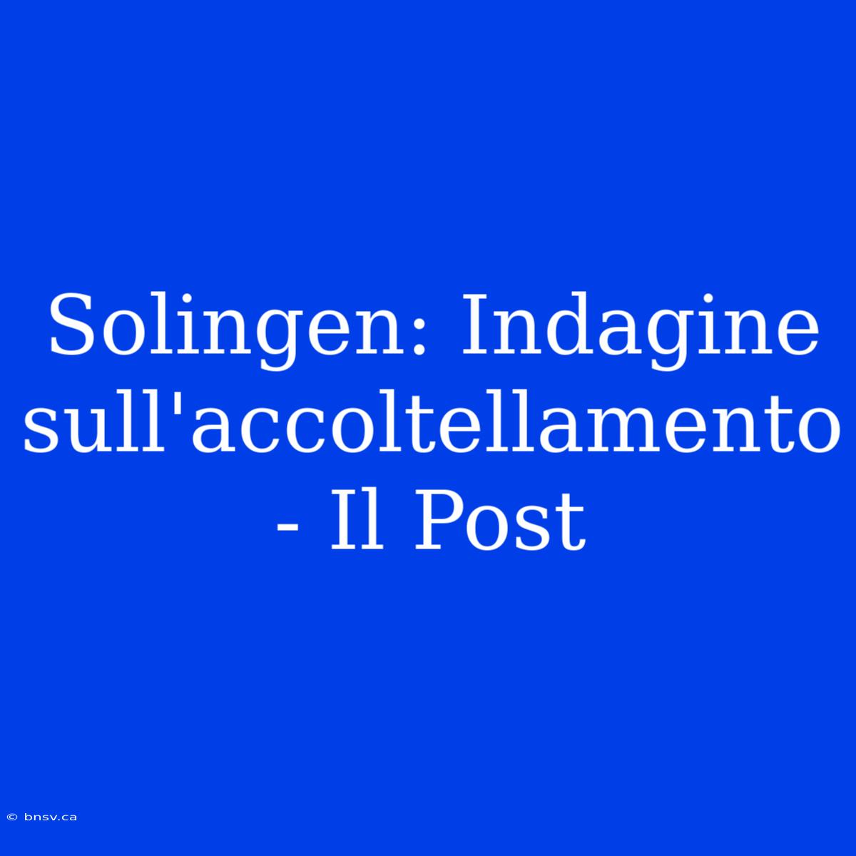 Solingen: Indagine Sull'accoltellamento - Il Post