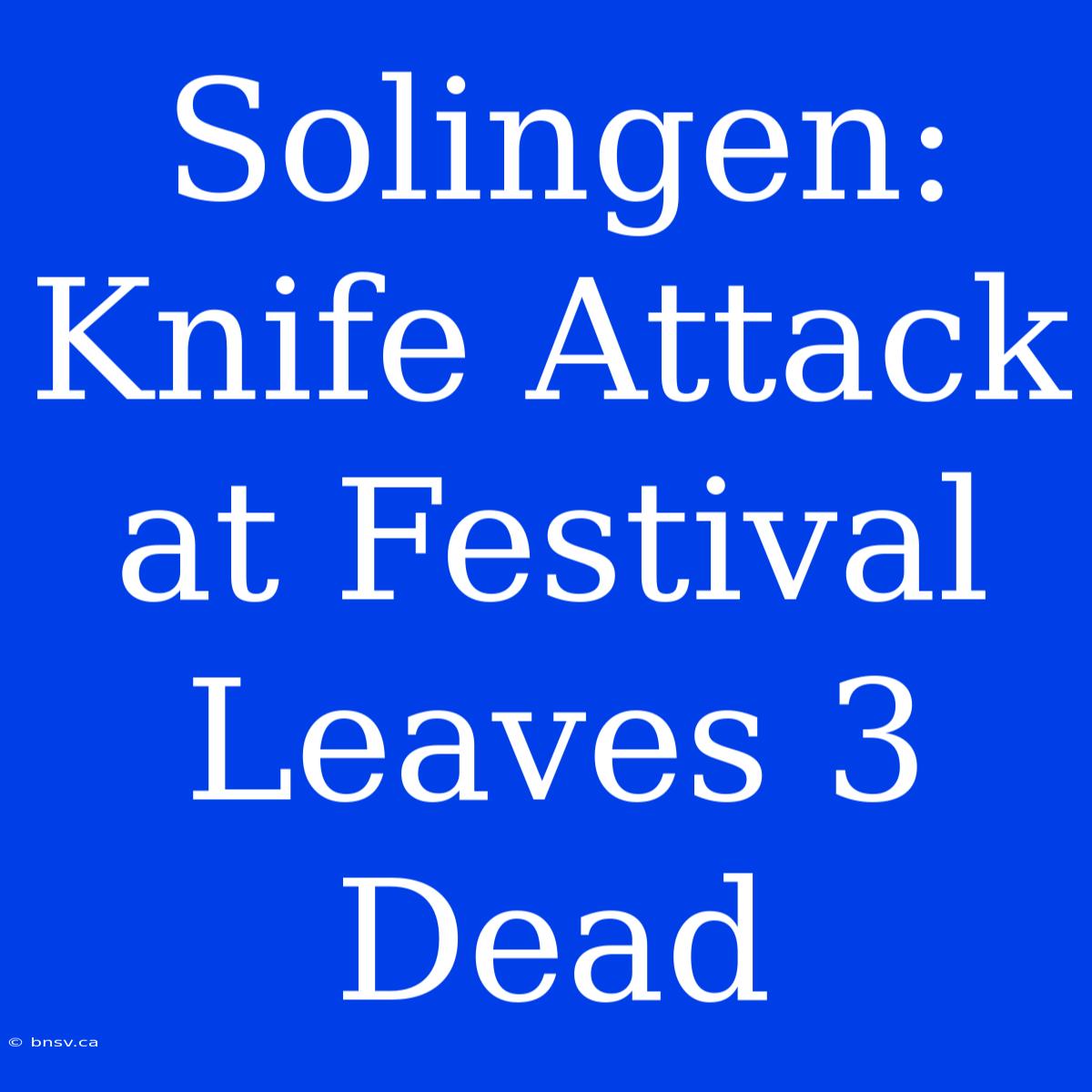 Solingen:  Knife Attack At Festival Leaves 3 Dead