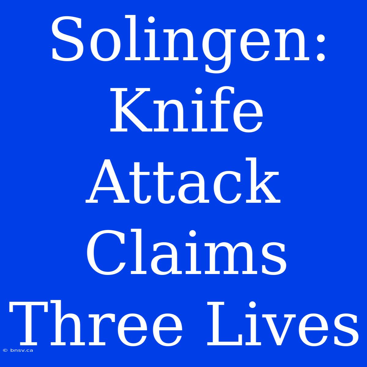 Solingen: Knife Attack Claims Three Lives