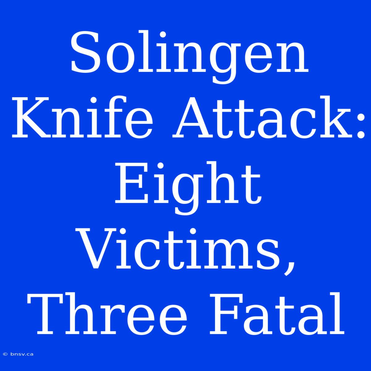 Solingen Knife Attack:  Eight Victims, Three Fatal