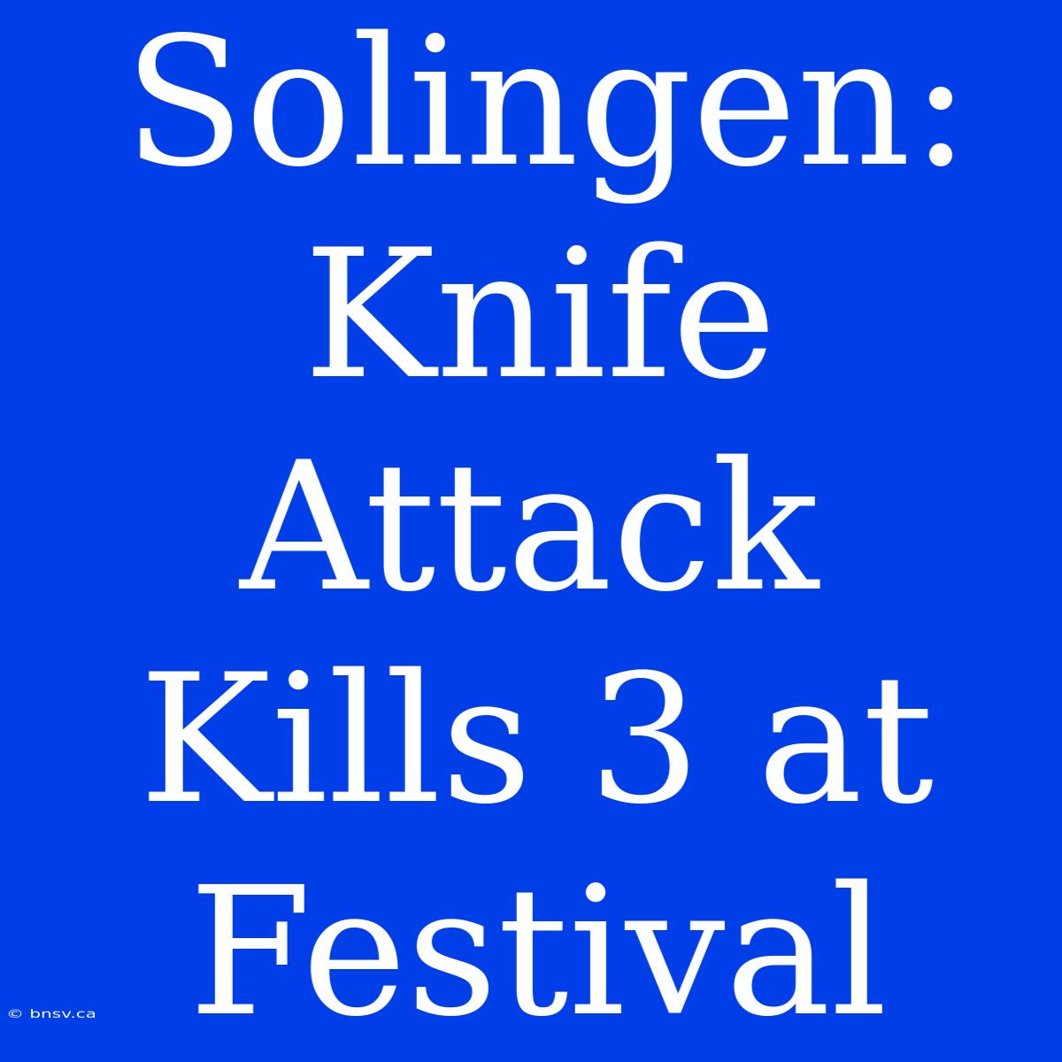 Solingen: Knife Attack Kills 3 At Festival