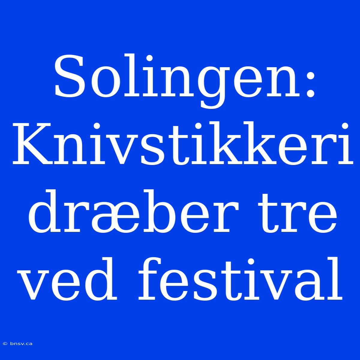 Solingen: Knivstikkeri Dræber Tre Ved Festival