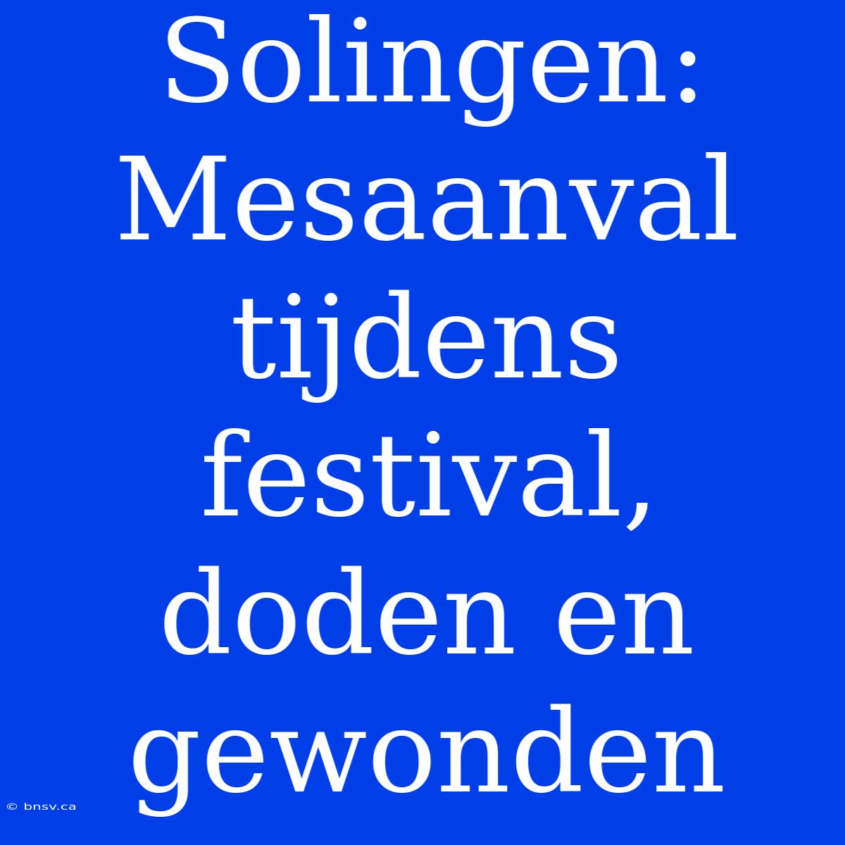 Solingen: Mesaanval Tijdens Festival, Doden En Gewonden