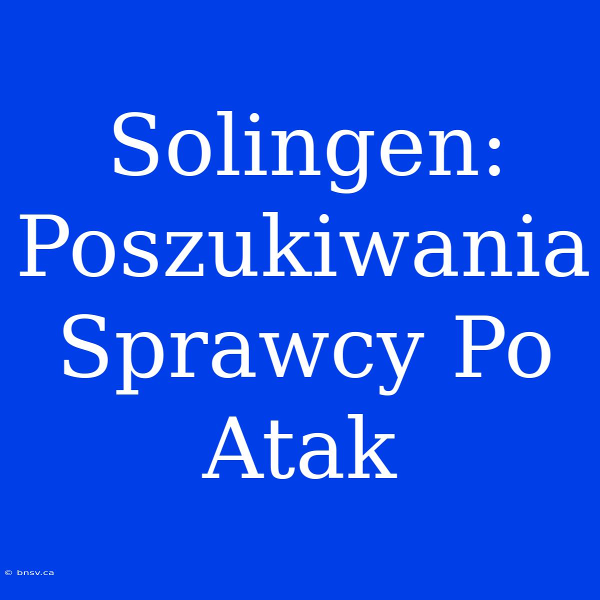 Solingen: Poszukiwania Sprawcy Po Atak