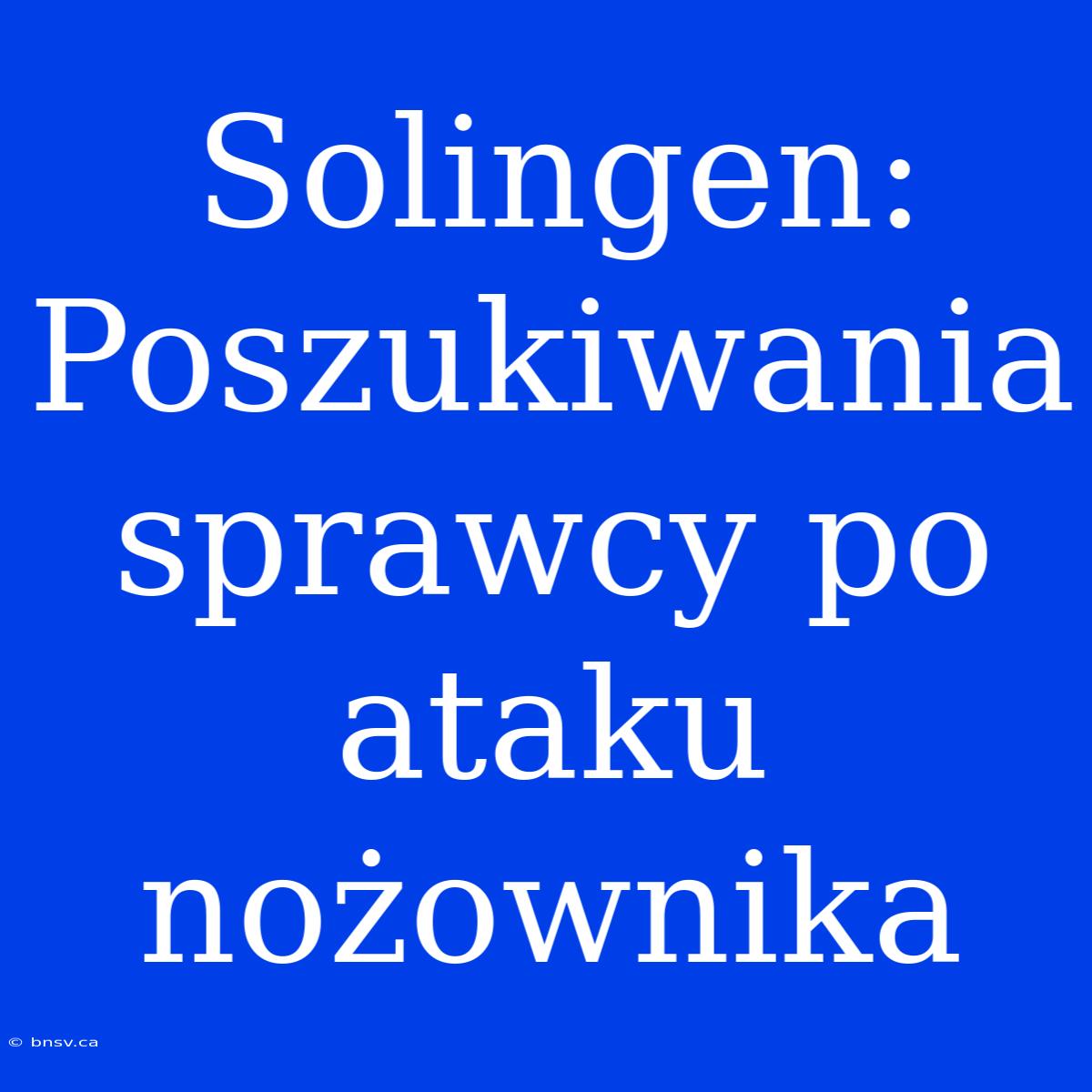 Solingen: Poszukiwania Sprawcy Po Ataku Nożownika