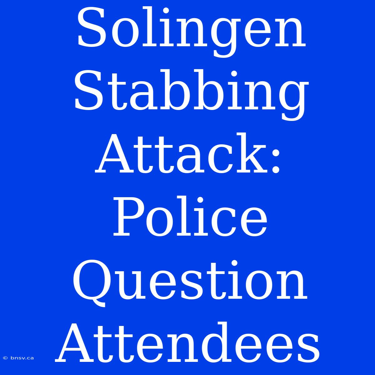 Solingen Stabbing Attack: Police Question Attendees