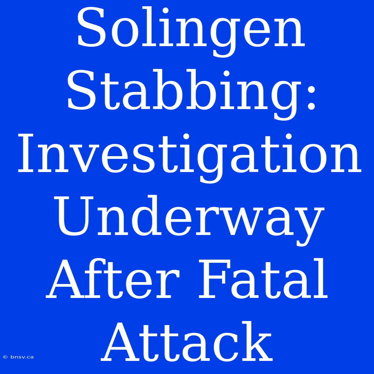 Solingen Stabbing: Investigation Underway After Fatal Attack