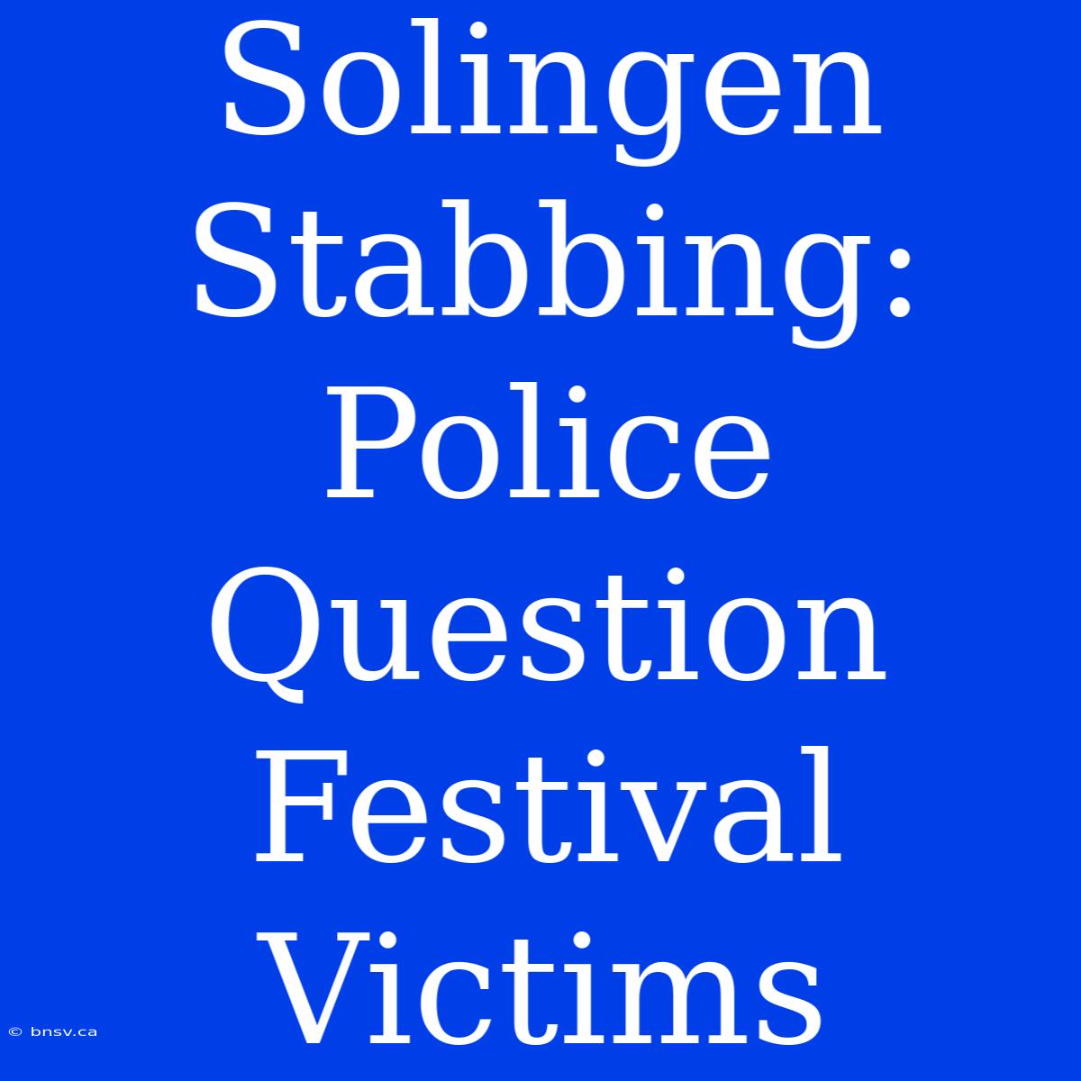 Solingen Stabbing: Police Question Festival Victims