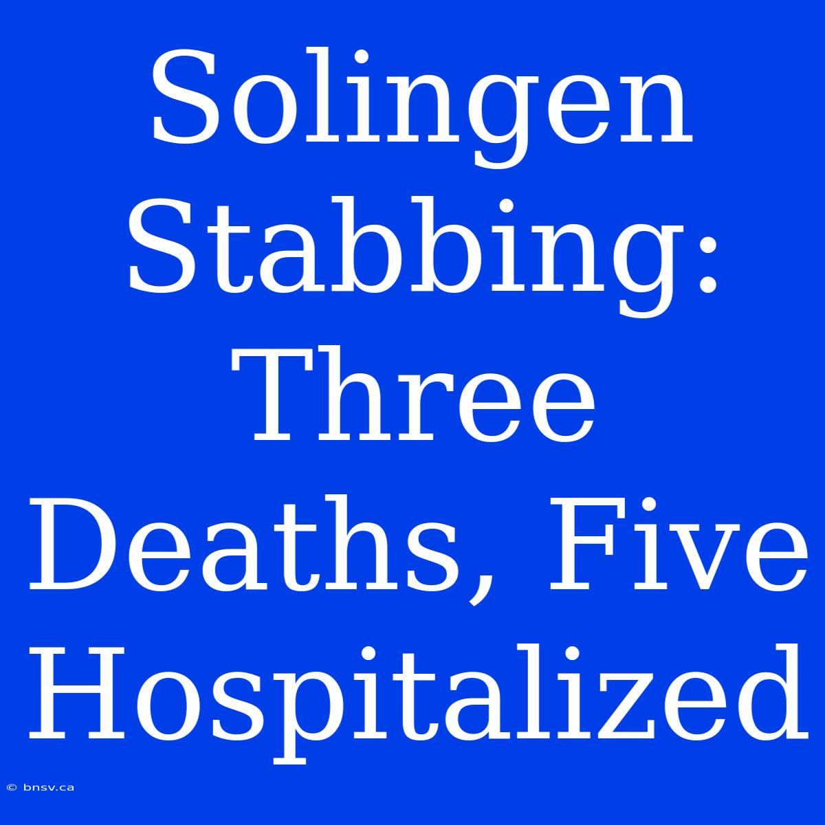 Solingen Stabbing:  Three Deaths, Five Hospitalized