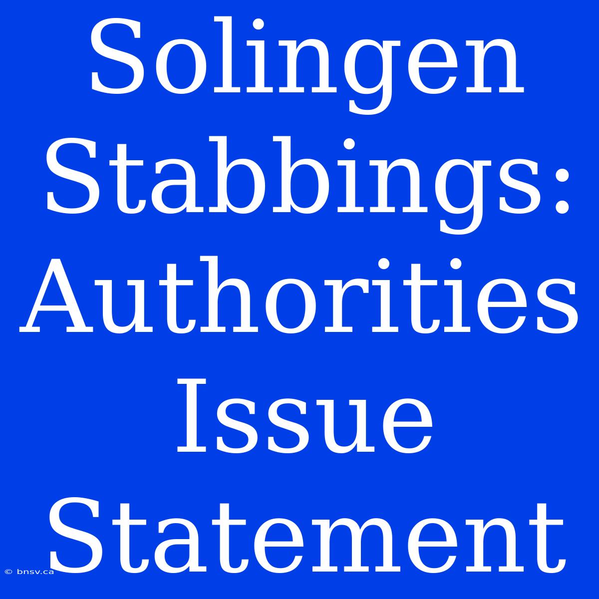 Solingen Stabbings: Authorities Issue Statement