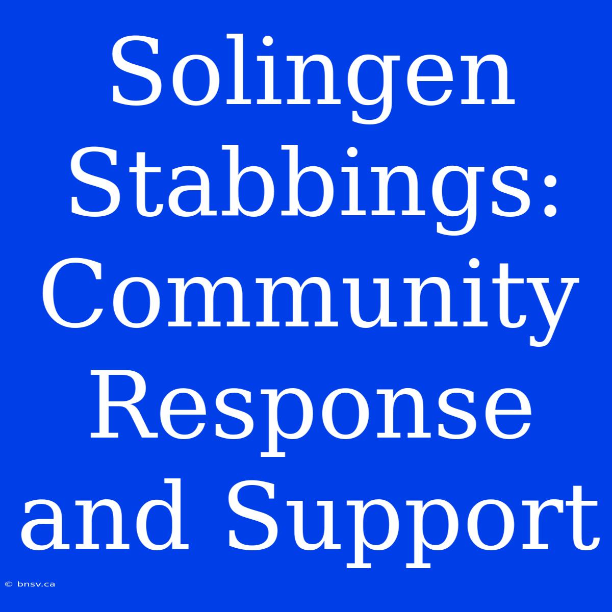 Solingen Stabbings: Community Response And Support