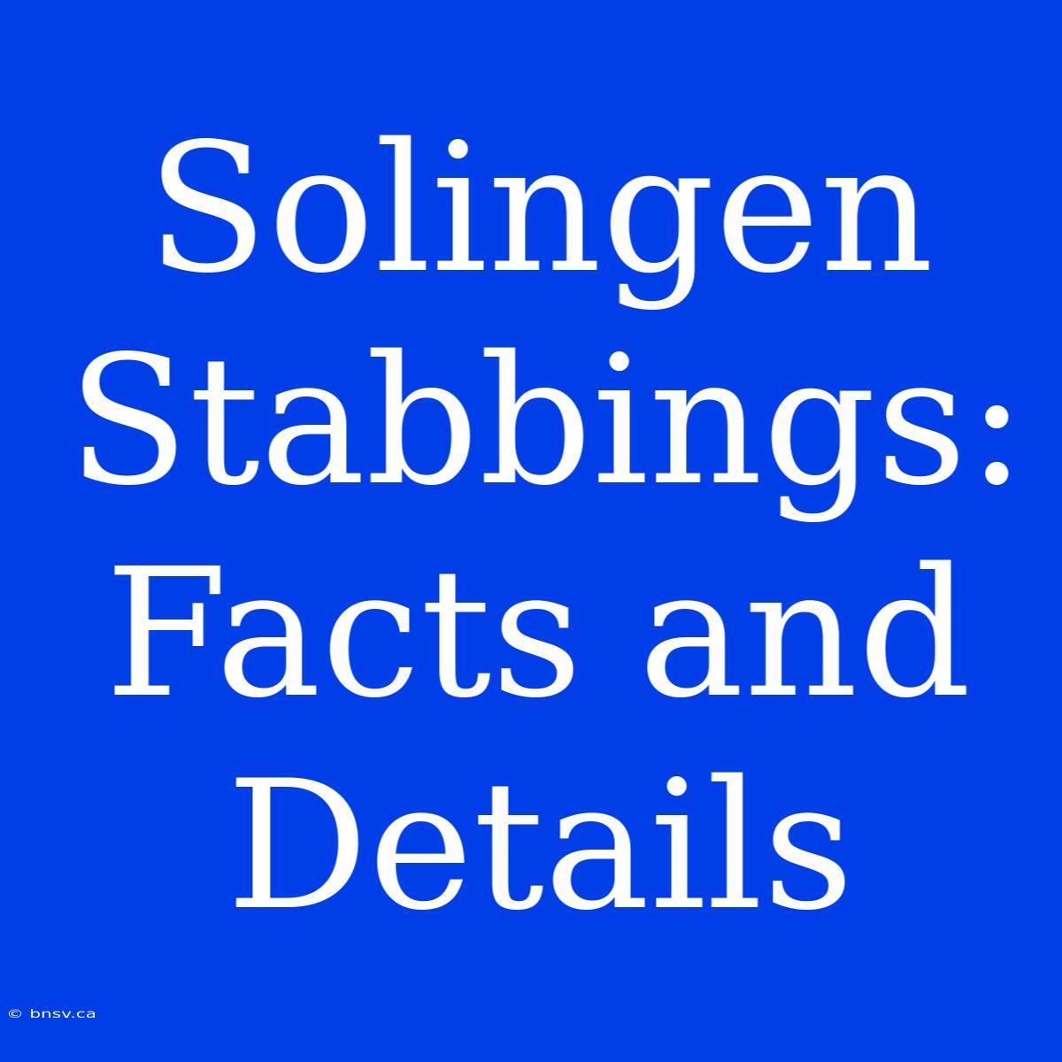 Solingen Stabbings: Facts And Details