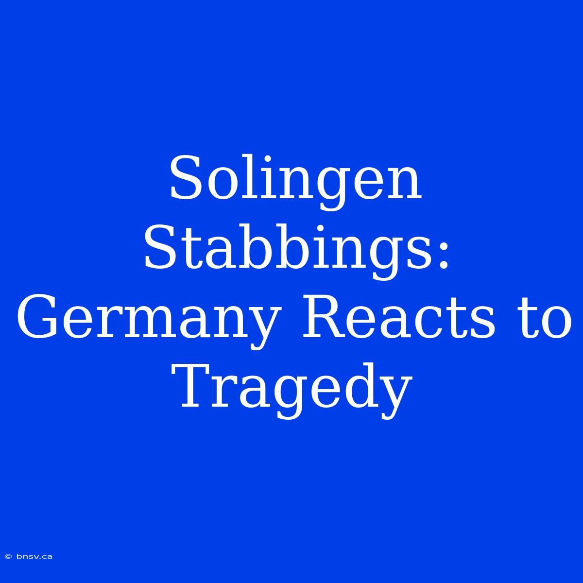 Solingen Stabbings: Germany Reacts To Tragedy