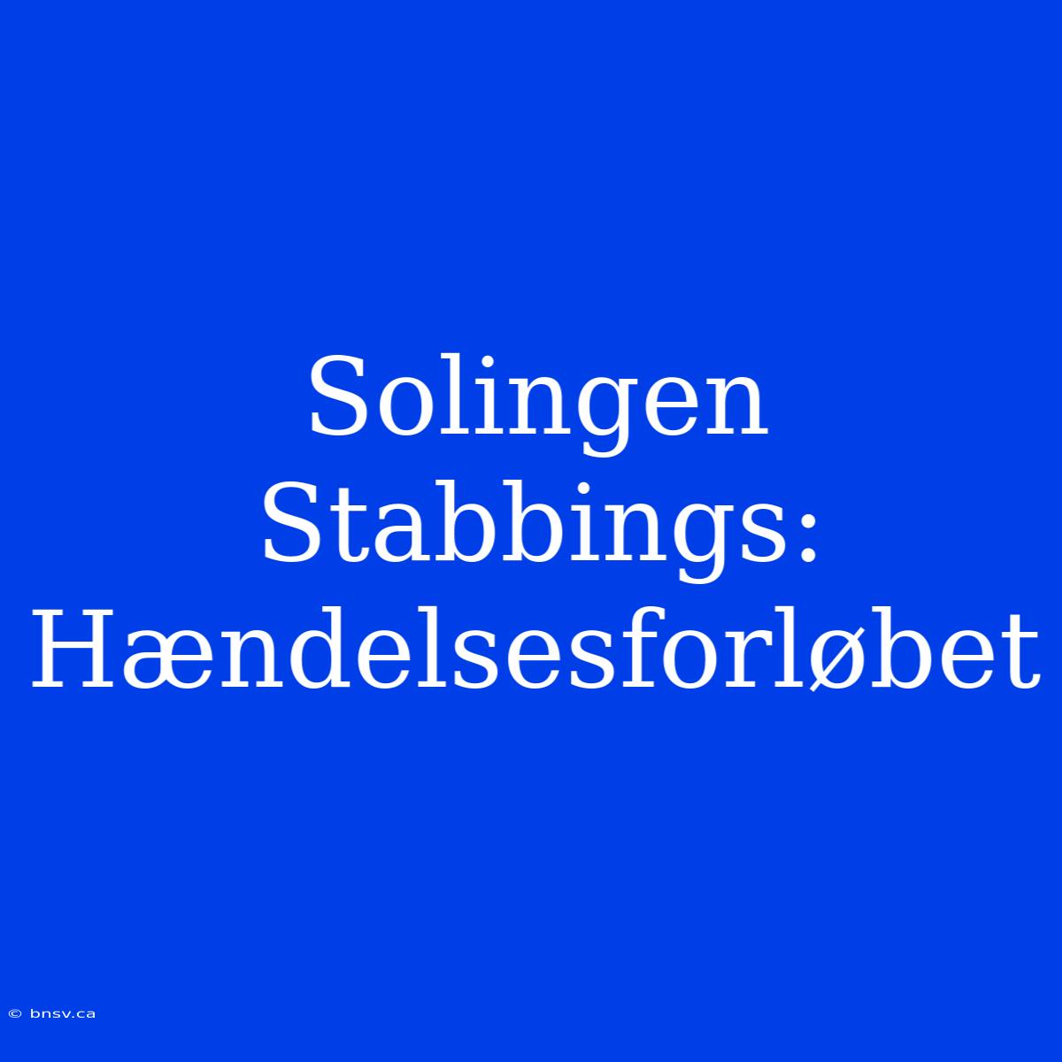 Solingen Stabbings: Hændelsesforløbet