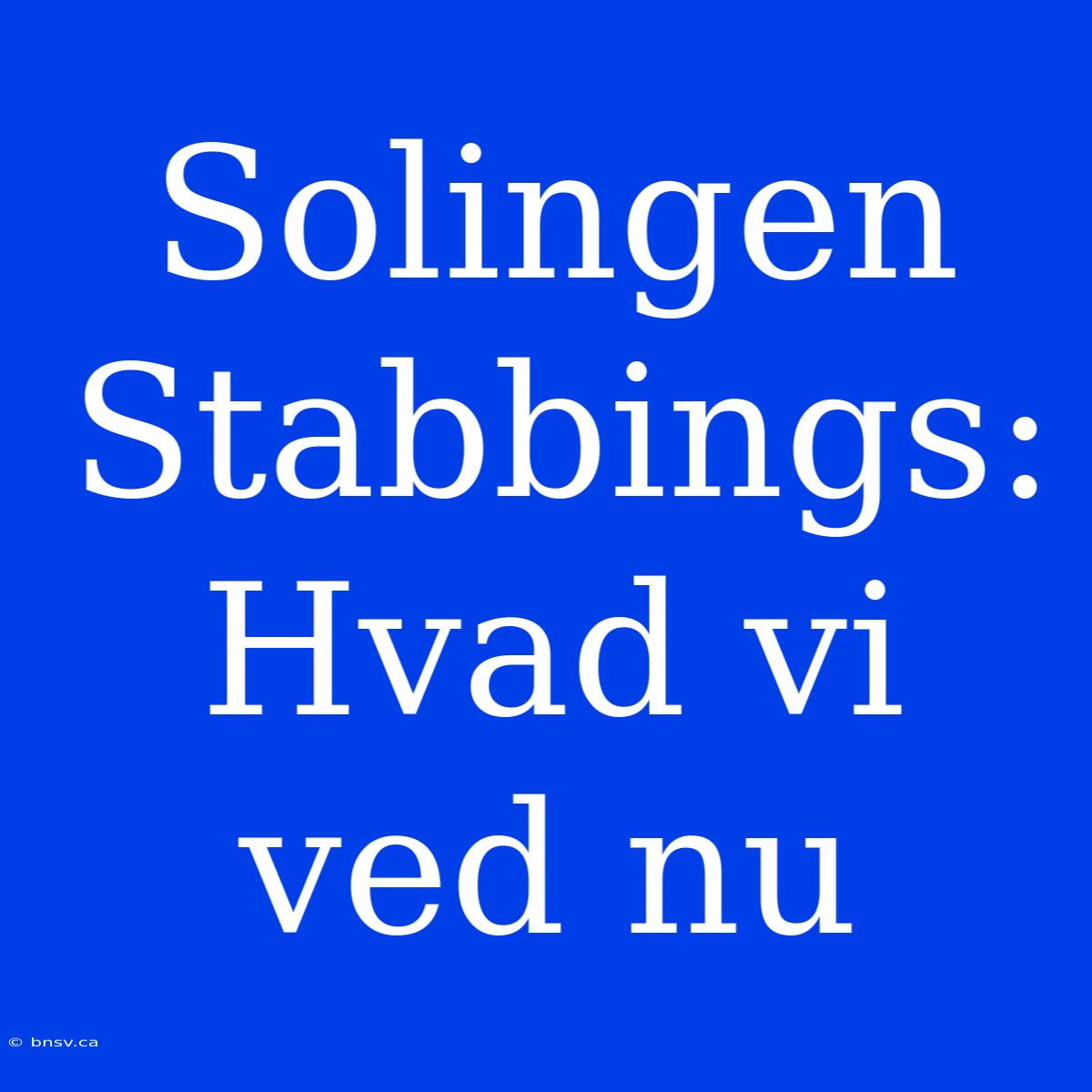 Solingen Stabbings: Hvad Vi Ved Nu