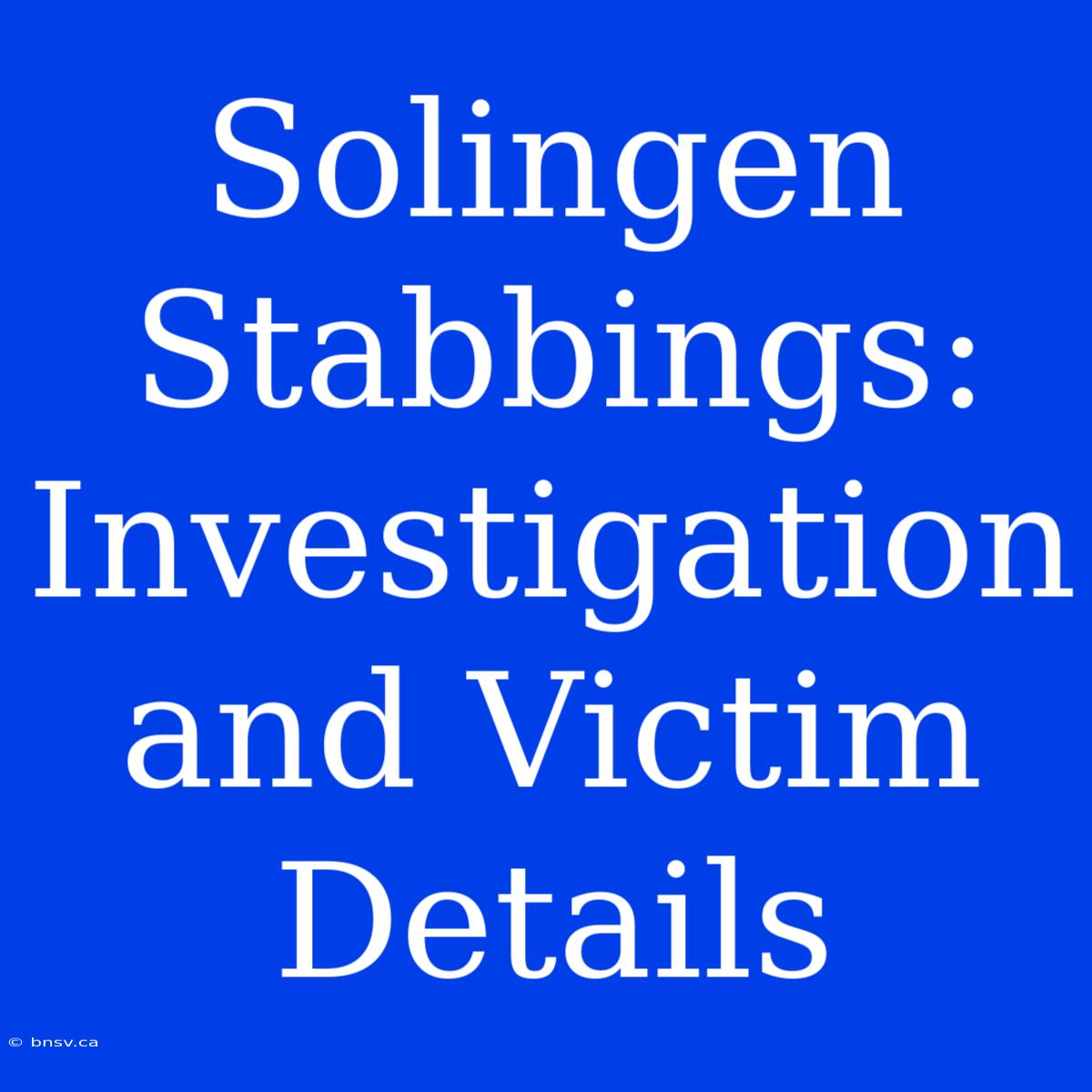 Solingen Stabbings: Investigation And Victim Details