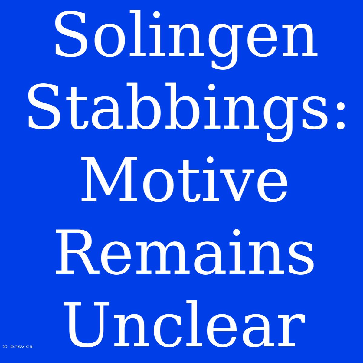 Solingen Stabbings: Motive Remains Unclear