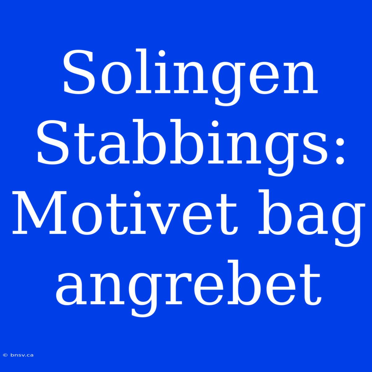 Solingen Stabbings: Motivet Bag Angrebet