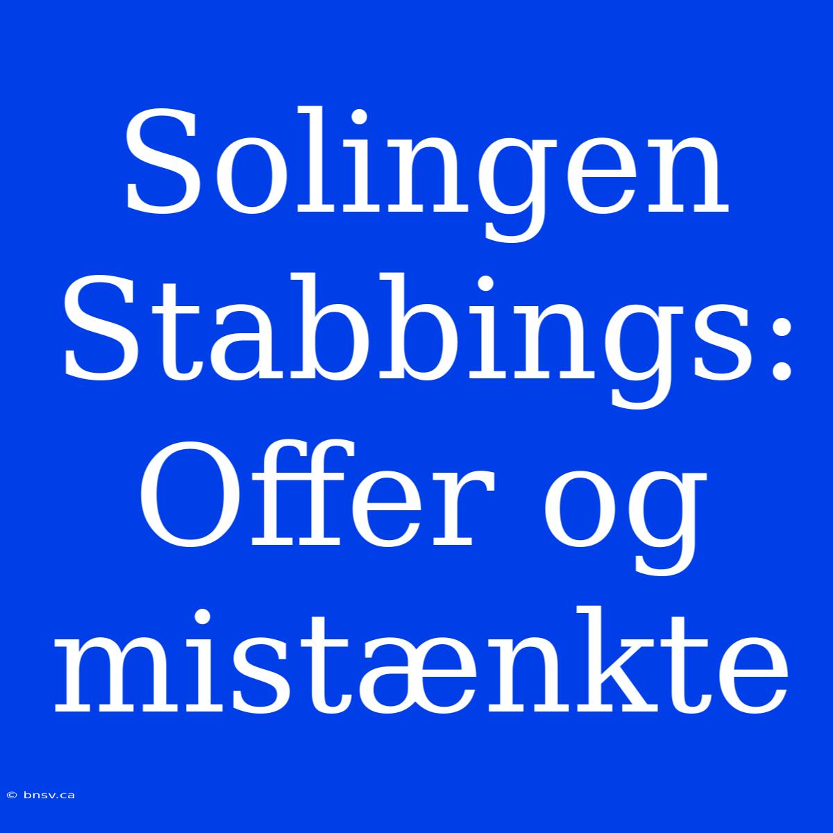 Solingen Stabbings: Offer Og Mistænkte