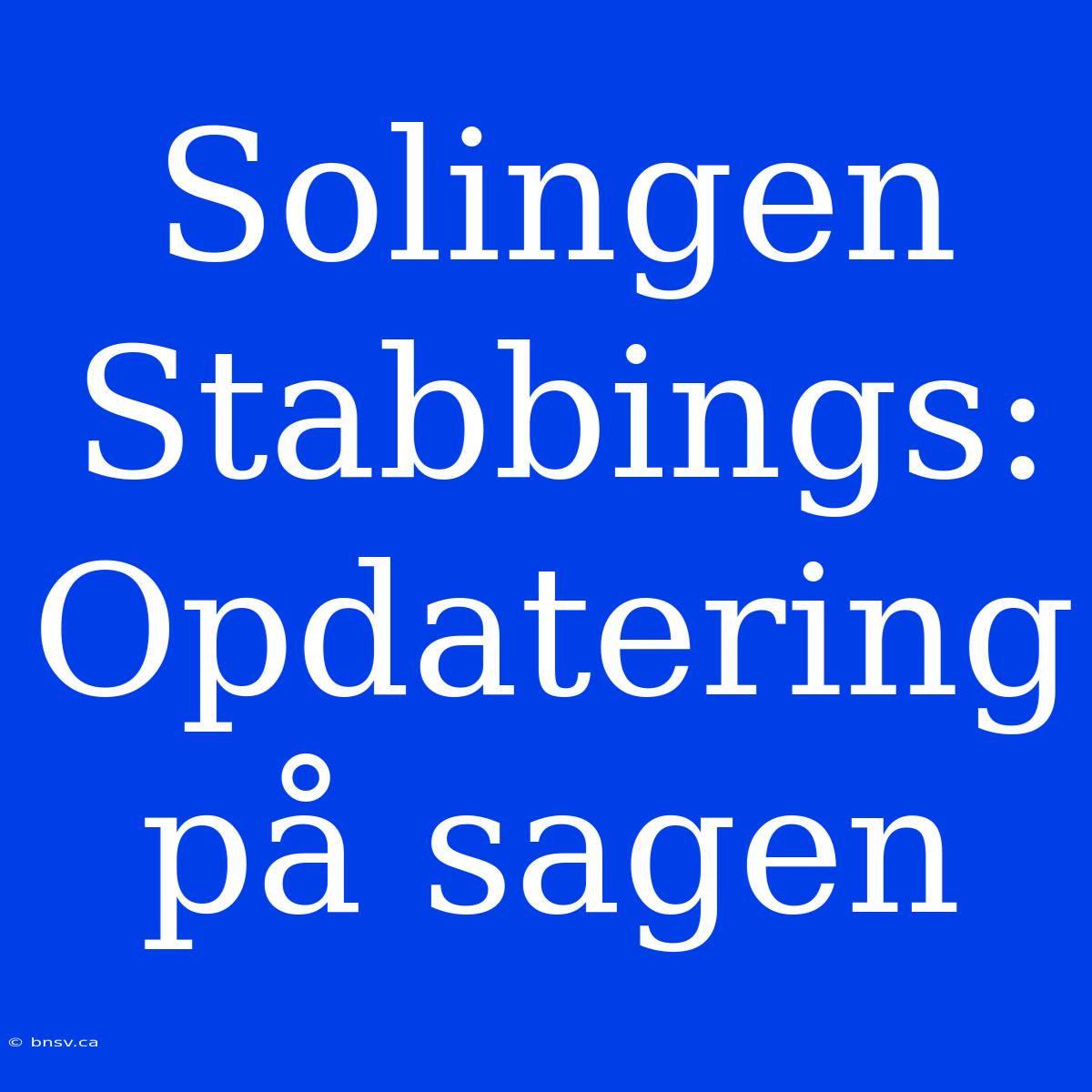 Solingen Stabbings: Opdatering På Sagen