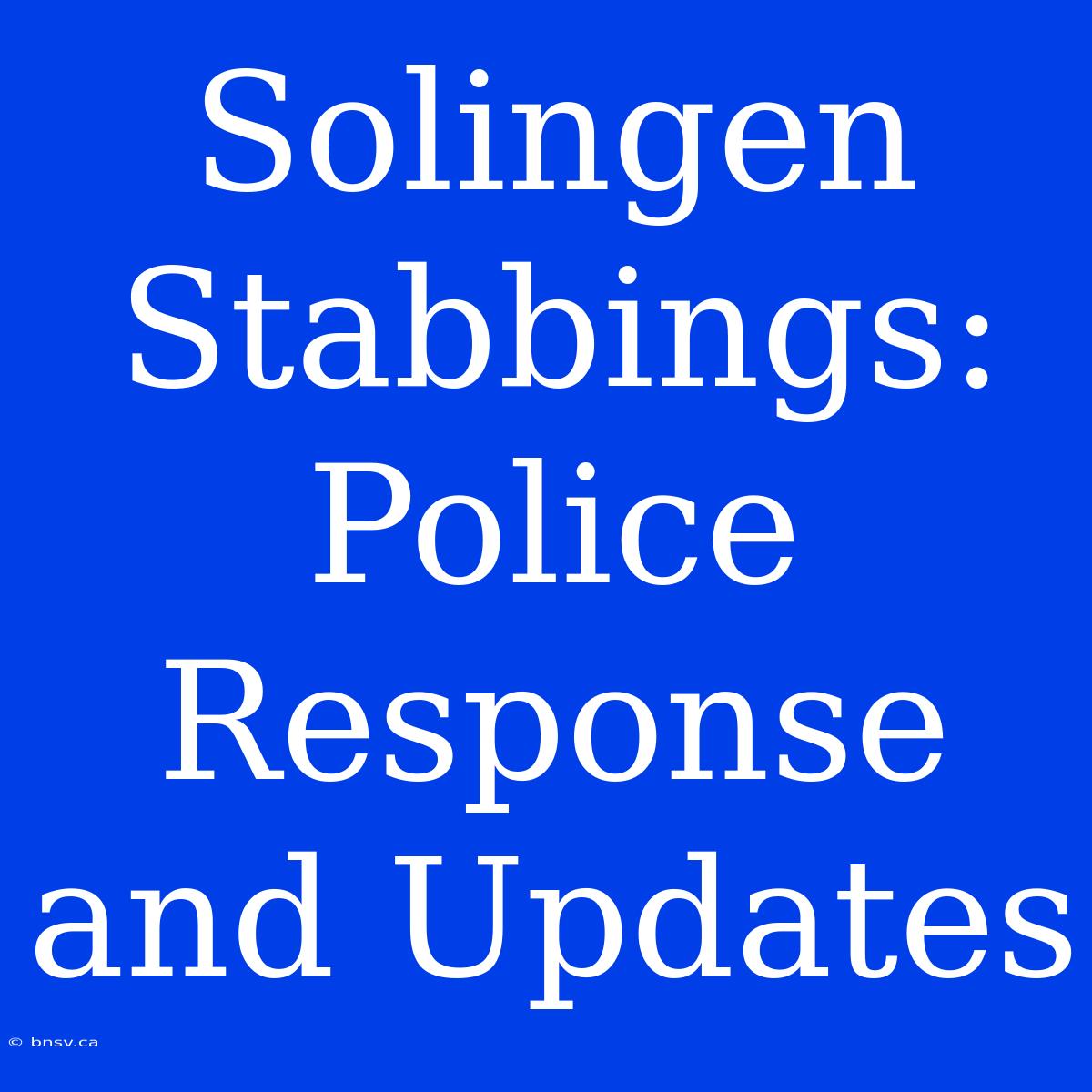 Solingen Stabbings: Police Response And Updates