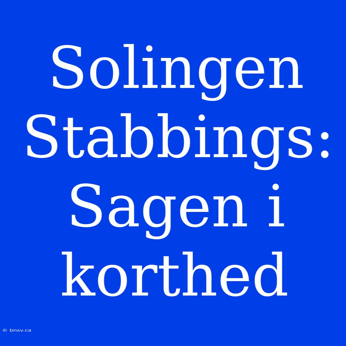 Solingen Stabbings: Sagen I Korthed