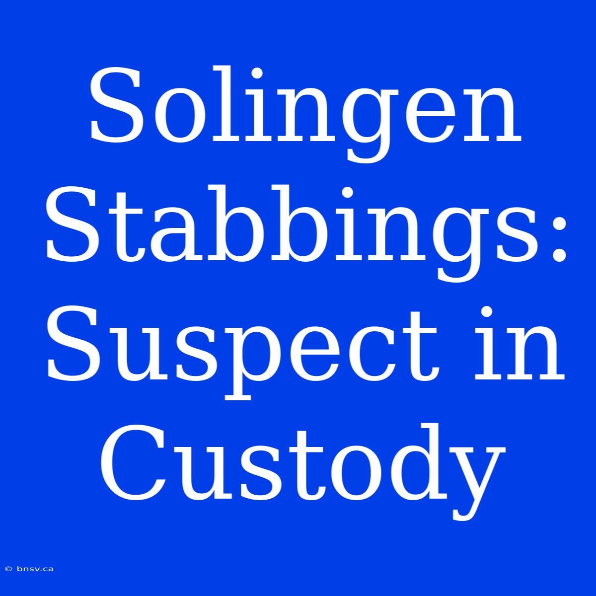 Solingen Stabbings: Suspect In Custody