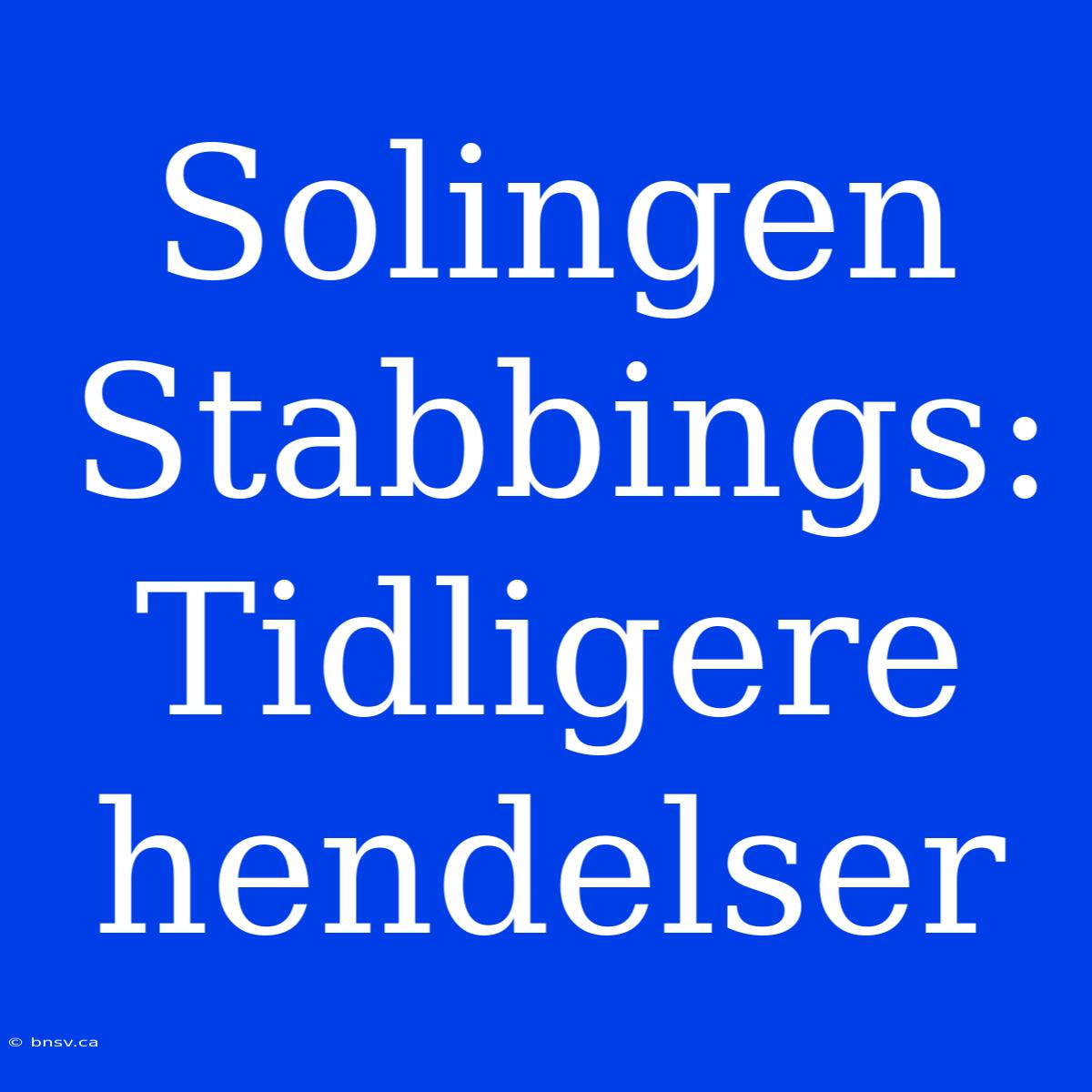 Solingen Stabbings: Tidligere Hendelser