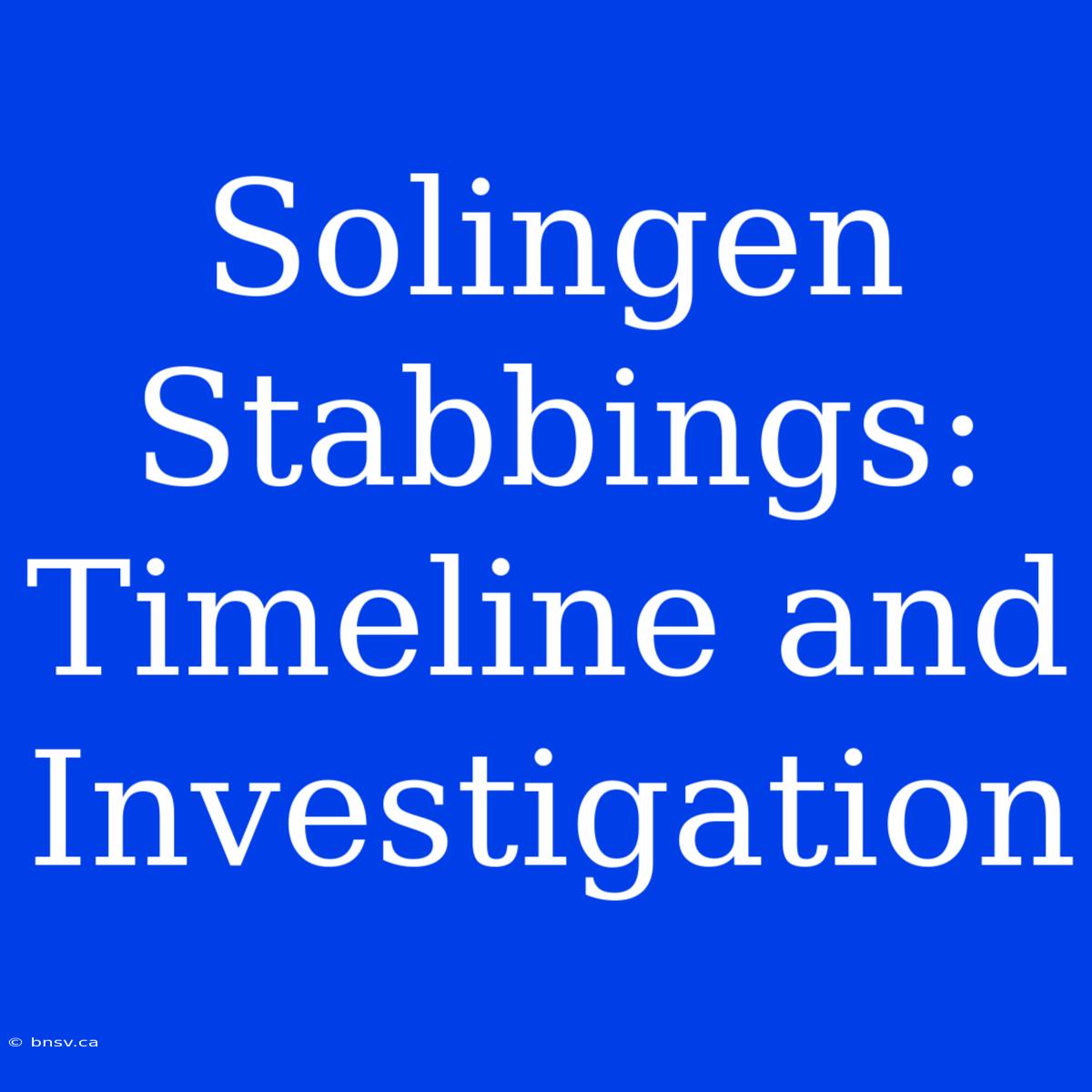 Solingen Stabbings: Timeline And Investigation