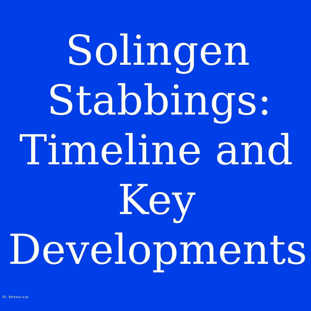 Solingen Stabbings: Timeline And Key Developments