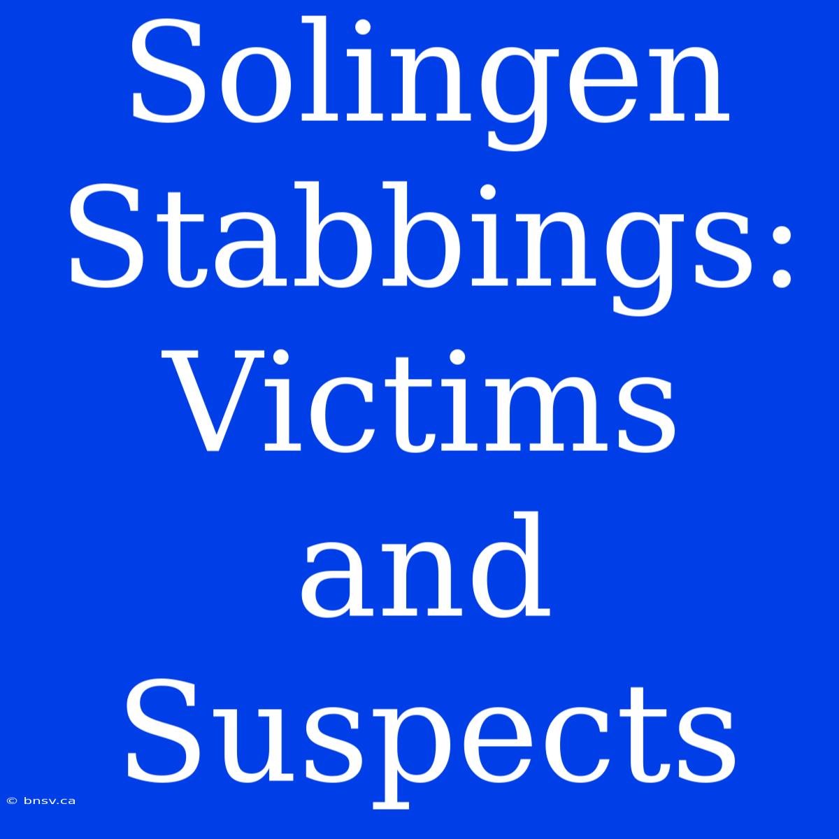 Solingen Stabbings: Victims And Suspects