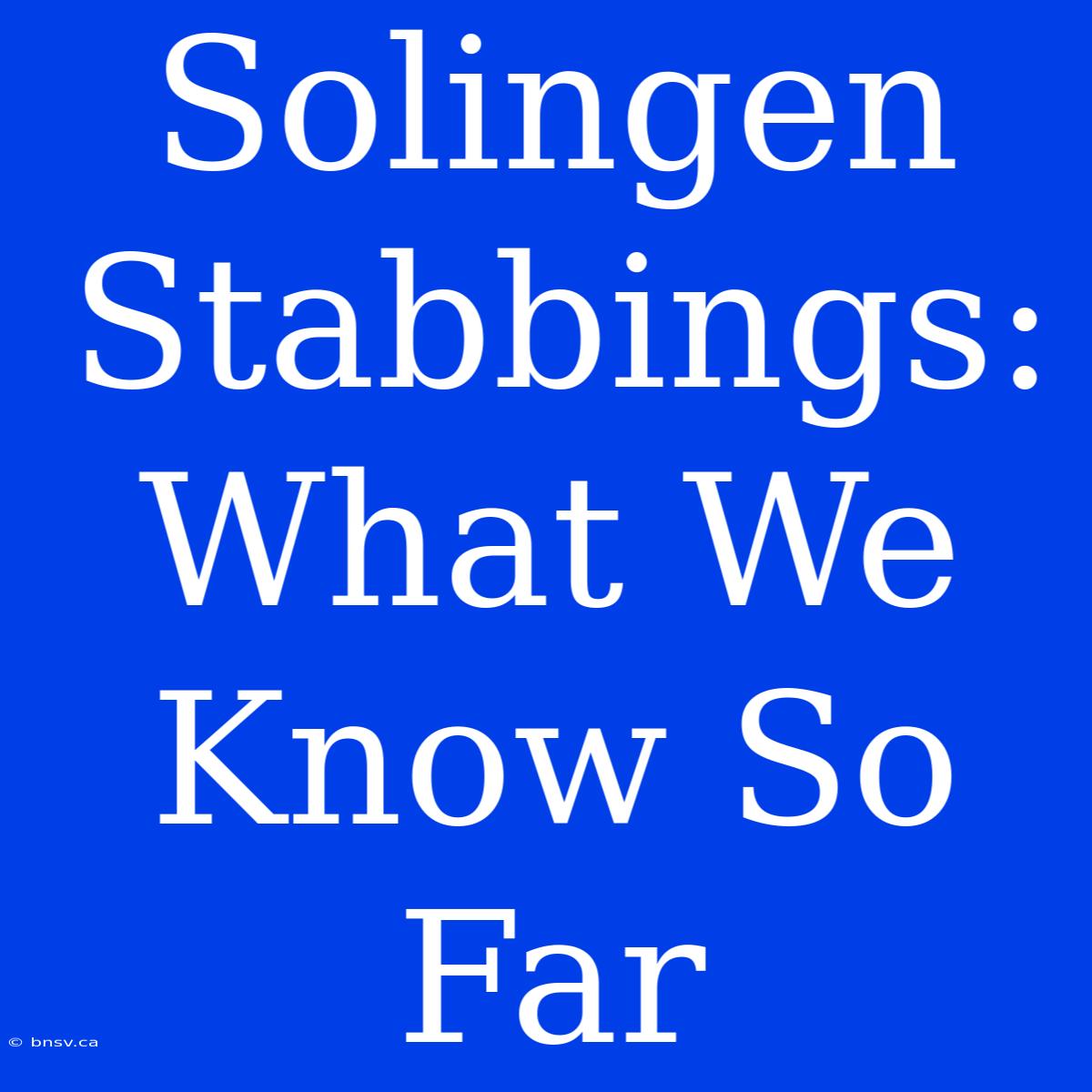 Solingen Stabbings: What We Know So Far