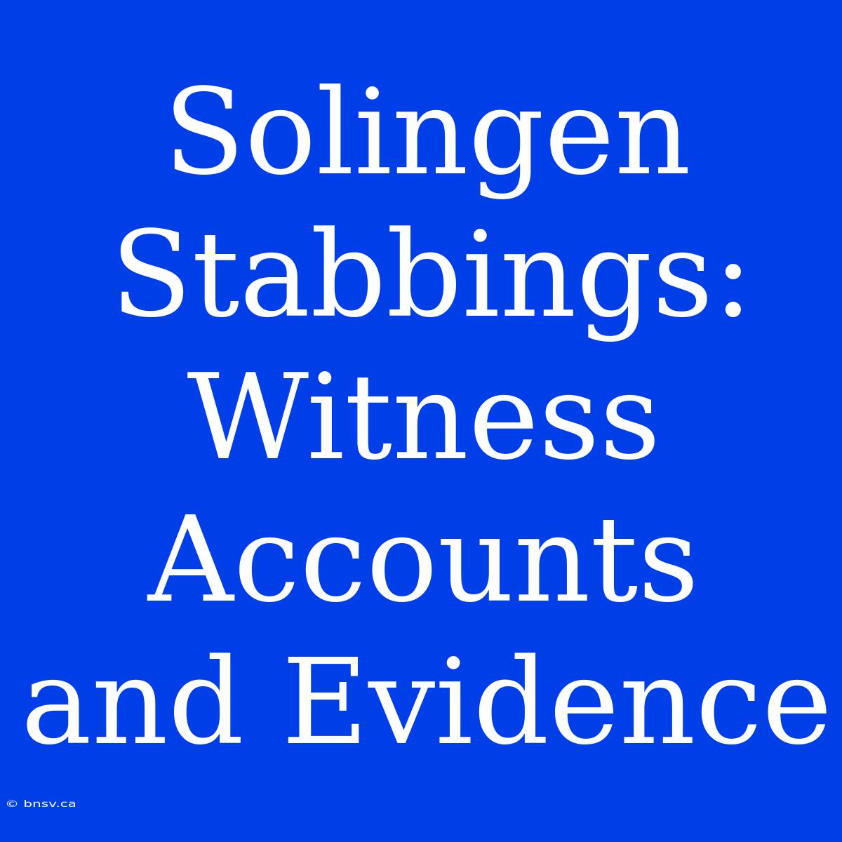 Solingen Stabbings: Witness Accounts And Evidence