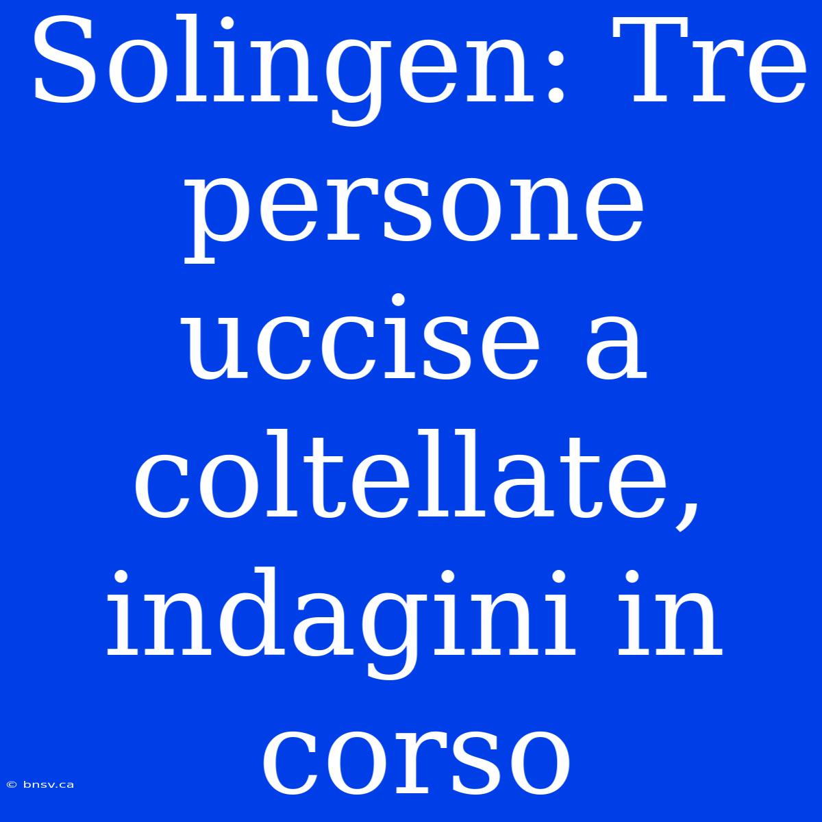 Solingen: Tre Persone Uccise A Coltellate, Indagini In Corso