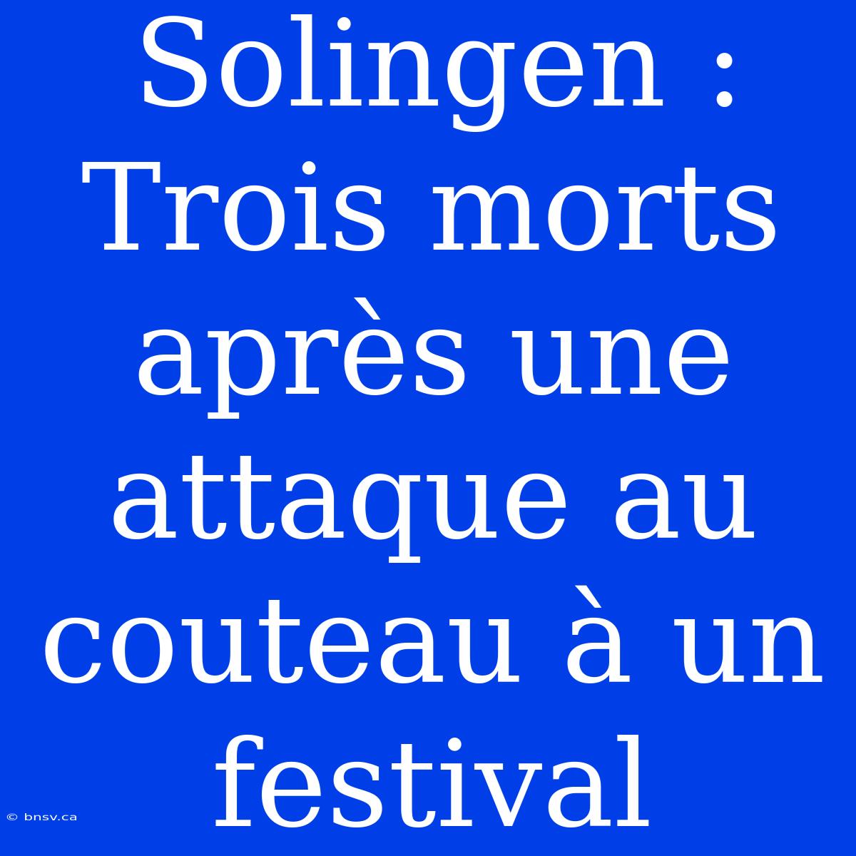 Solingen : Trois Morts Après Une Attaque Au Couteau À Un Festival