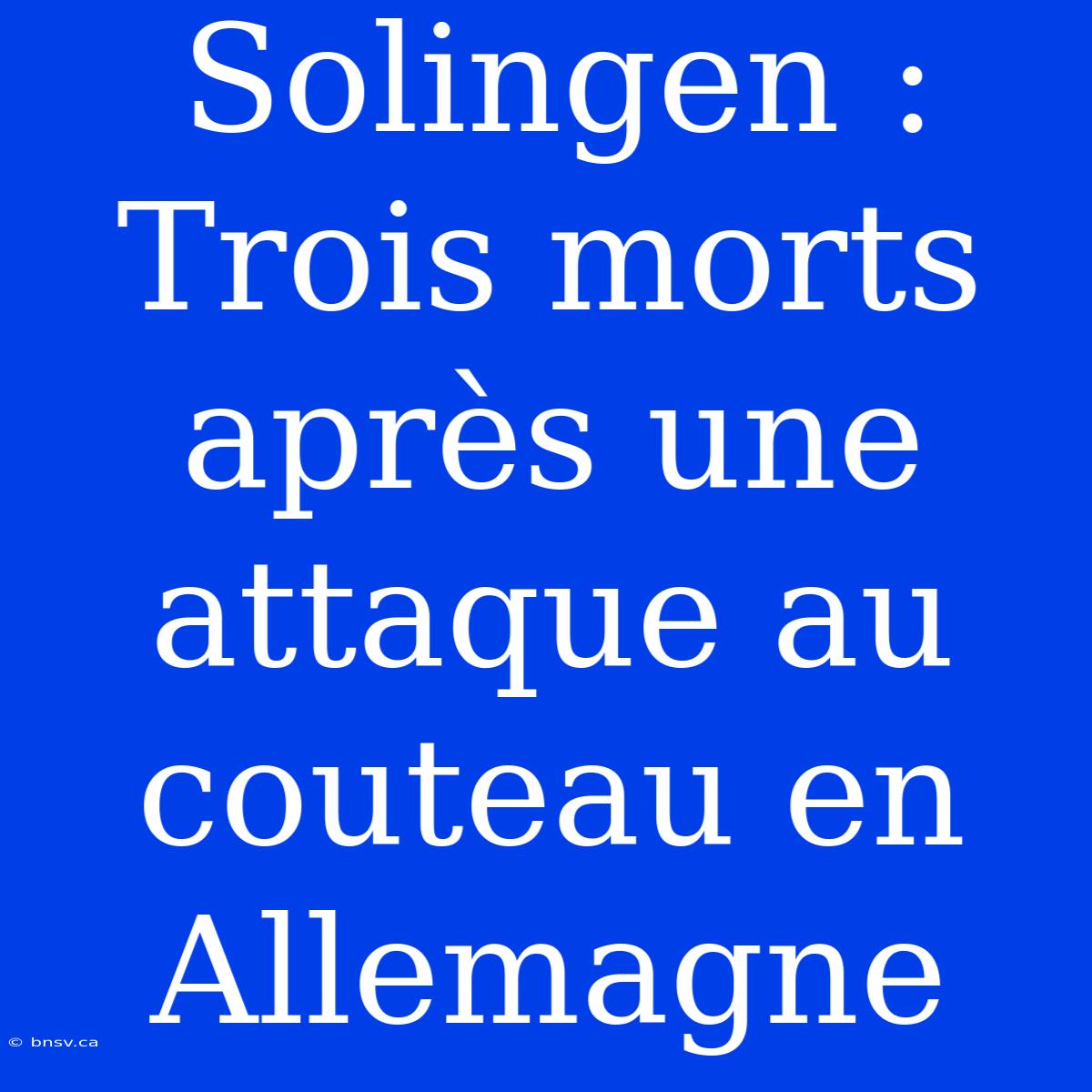 Solingen : Trois Morts Après Une Attaque Au Couteau En Allemagne