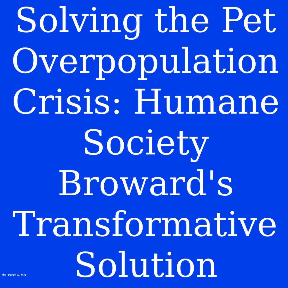 Solving The Pet Overpopulation Crisis: Humane Society Broward's Transformative Solution