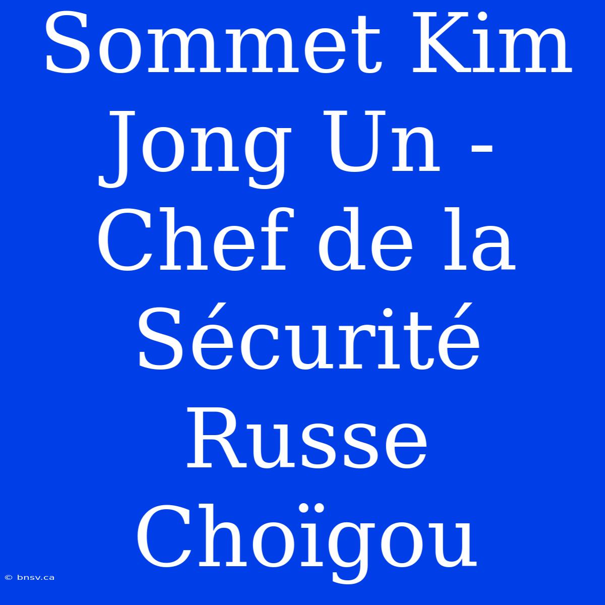 Sommet Kim Jong Un - Chef De La Sécurité Russe Choïgou