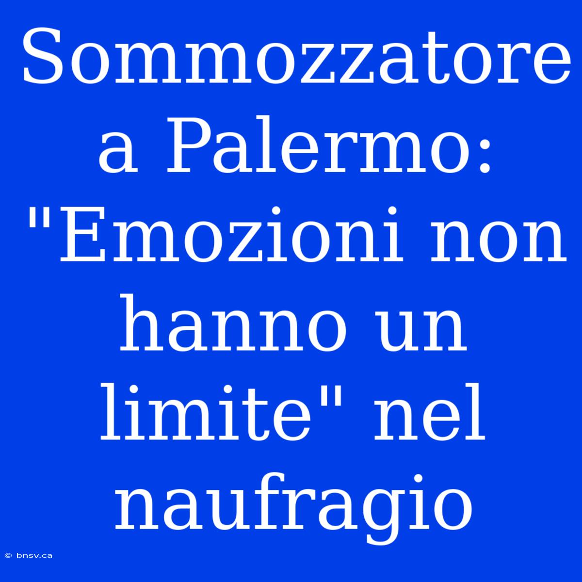 Sommozzatore A Palermo: 