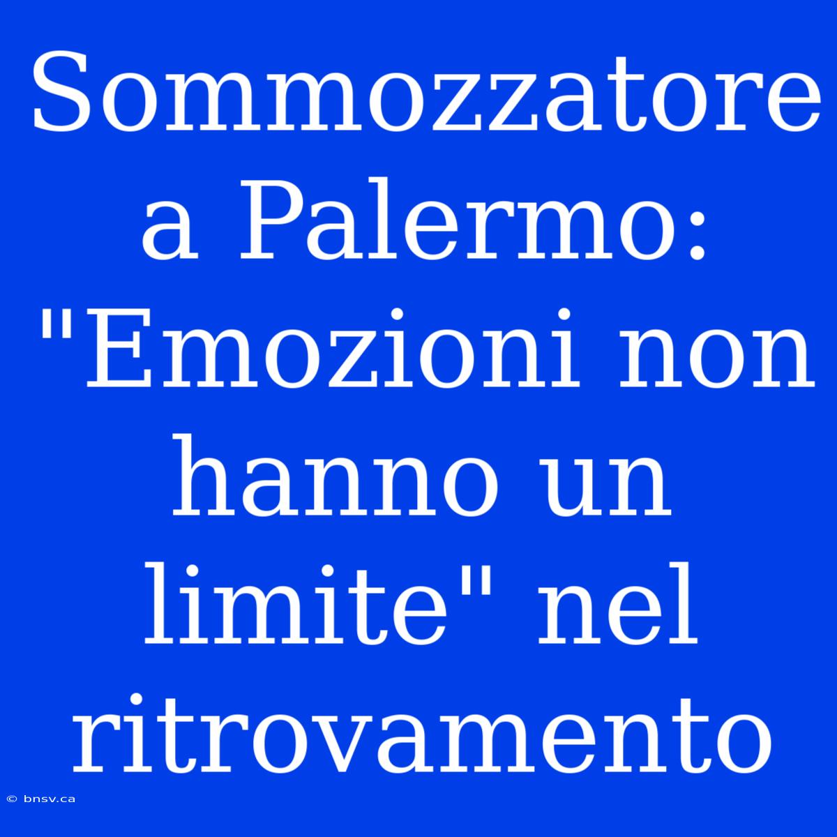 Sommozzatore A Palermo: 