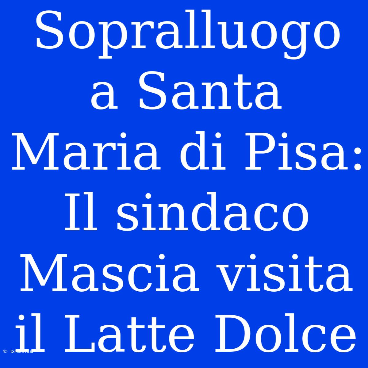 Sopralluogo A Santa Maria Di Pisa: Il Sindaco Mascia Visita Il Latte Dolce