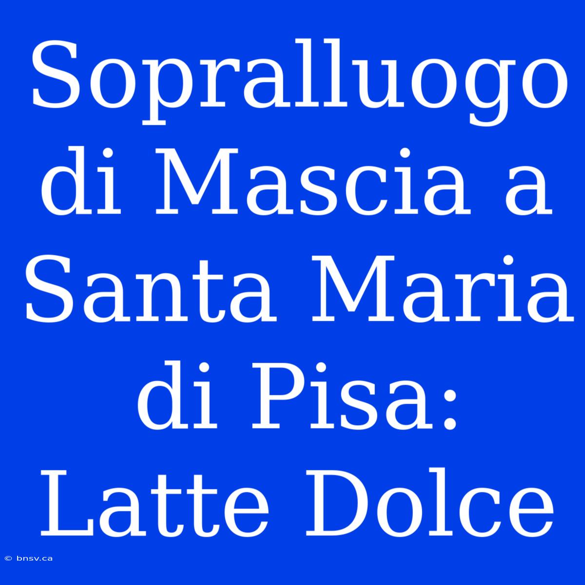 Sopralluogo Di Mascia A Santa Maria Di Pisa: Latte Dolce