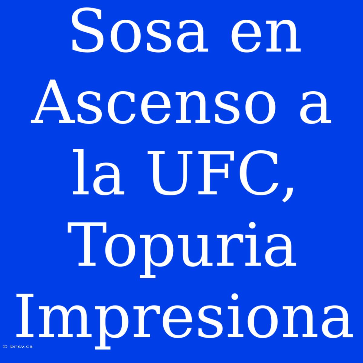 Sosa En Ascenso A La UFC, Topuria Impresiona