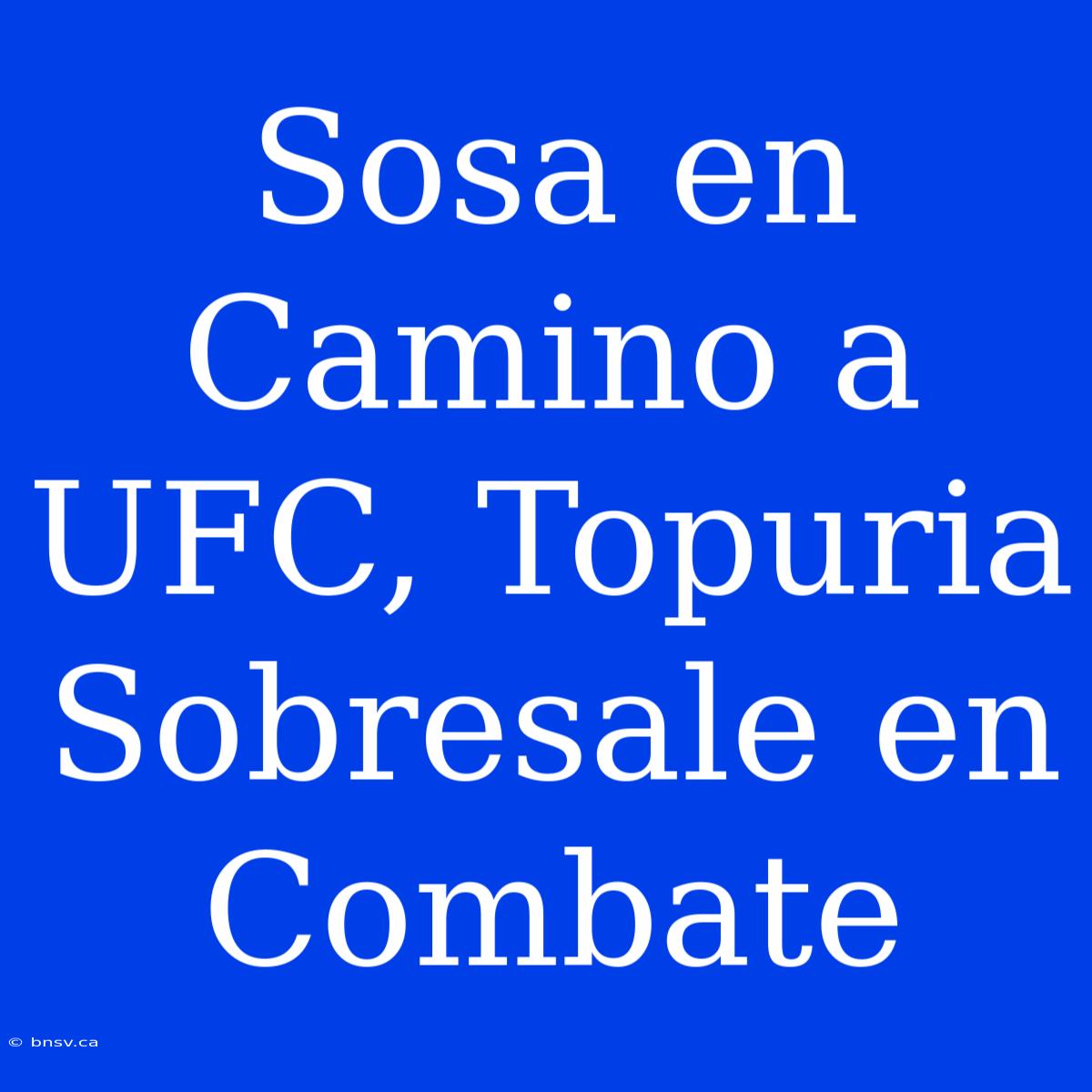 Sosa En Camino A UFC, Topuria Sobresale En Combate