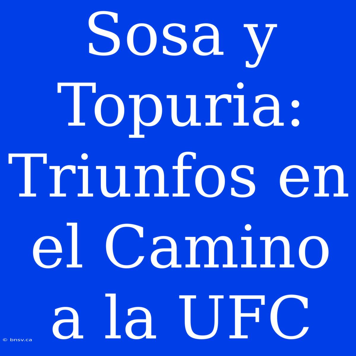 Sosa Y Topuria: Triunfos En El Camino A La UFC