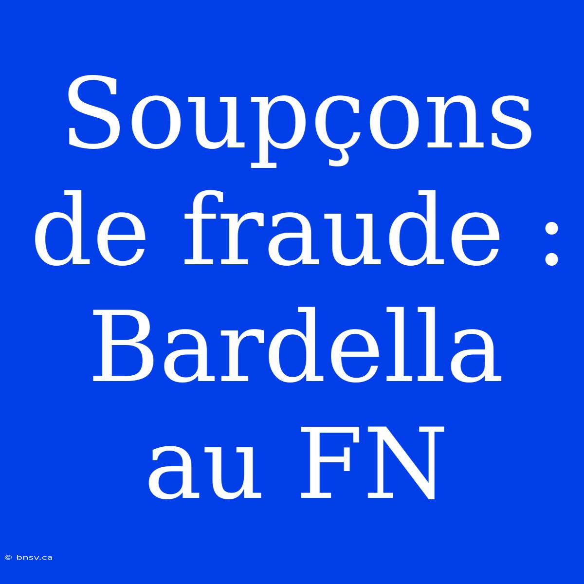 Soupçons De Fraude : Bardella Au FN